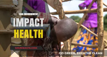 How Your Surroundings Shape Well-being: Exploring Environment's Impact on Health