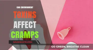 Environmental Toxins and Menstrual Cramps: Uncovering the Hidden Connection