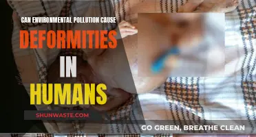 Pollution's Dark Side: Human Deformities and Environmental Pollution