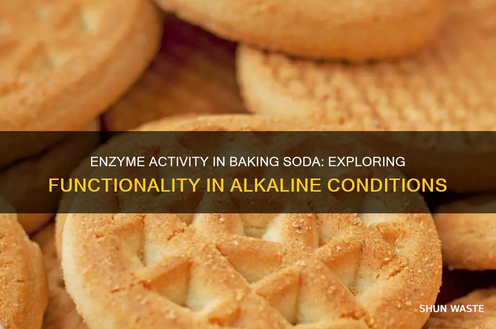 can enzymes work in baking soda filled environment