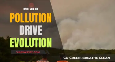 Air Pollution: Evolution's Unseen Driver?