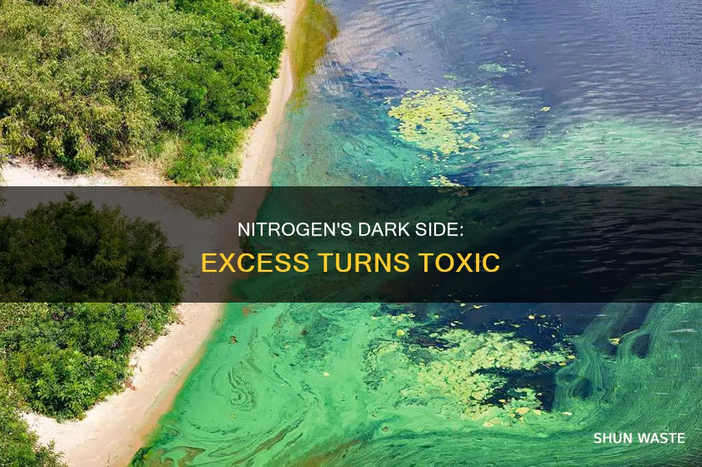 can excess nitrogen become a pollutant