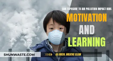 Air Pollution: Impacting Kids' Learning and Motivation?