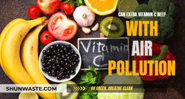 Vitamin C: Air Pollution's Natural Antidote?