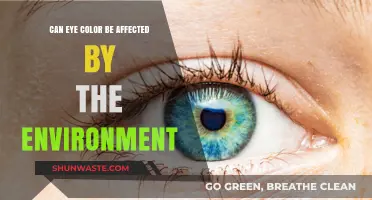 Environmental Factors and Eye Color: Unraveling the Surprising Connection