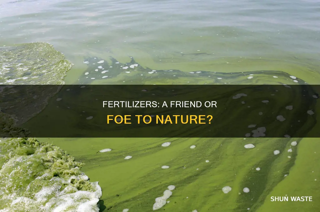 can fertilizers be pollutants