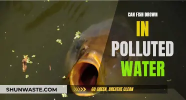 Fish Drowning in Polluted Waters: An Unseen Crisis