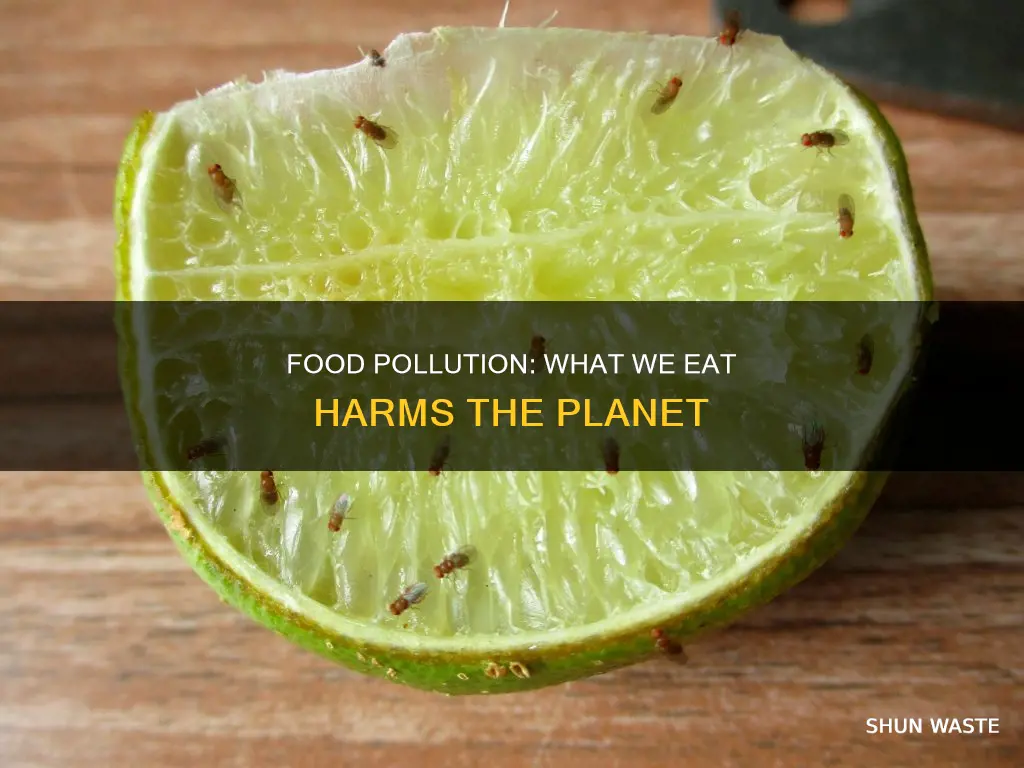 can food cause pollution