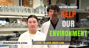 Food Chemistry Innovations: Sustainable Solutions for a Greener Environment