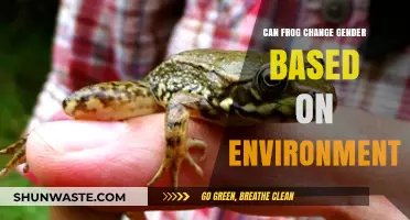Can Frogs Switch Genders in Response to Environmental Changes?