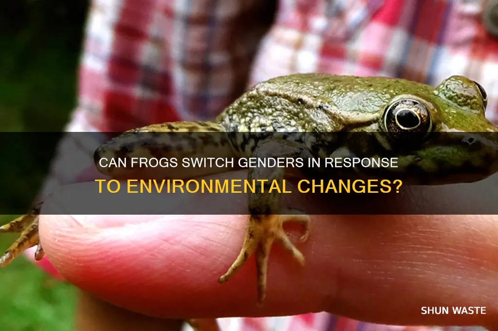 can frog change gender based on environment