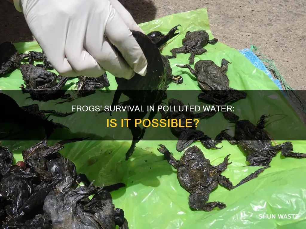 can frogs live in polluted water