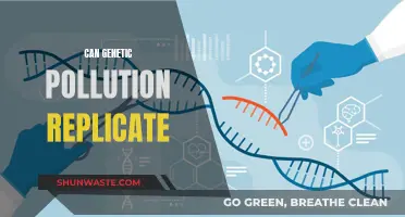 Genetic Pollution's Replication: Is It Possible?