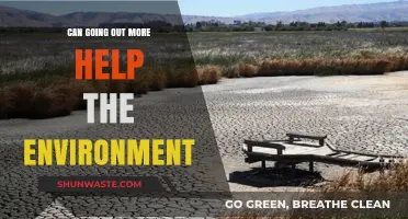 Exploring How Increased Outdoor Activities Benefit Our Environment and Sustainability