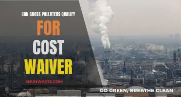 Polluters' Cost Waivers: Who Qualifies and How?