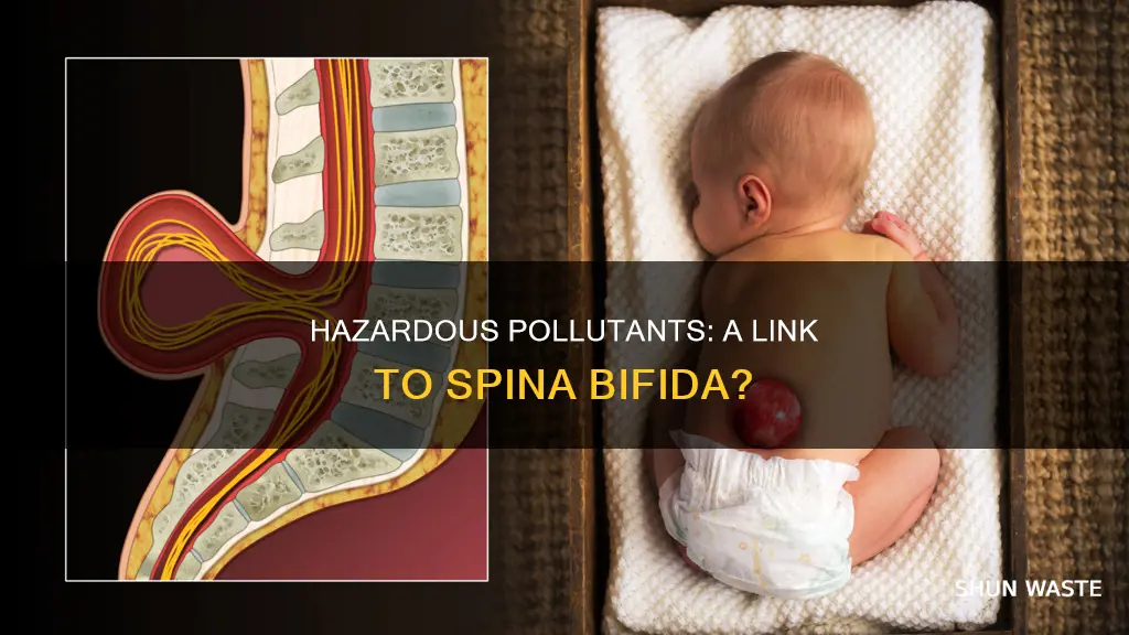 can hazardous pollutants cause spina bifida