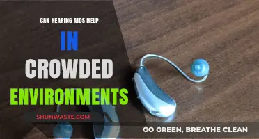 Hearing Aids in Crowds: Enhancing Clarity Amidst Background Noise