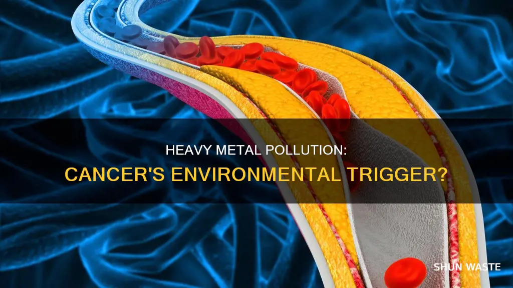 can heavy metals pollution cause cancer