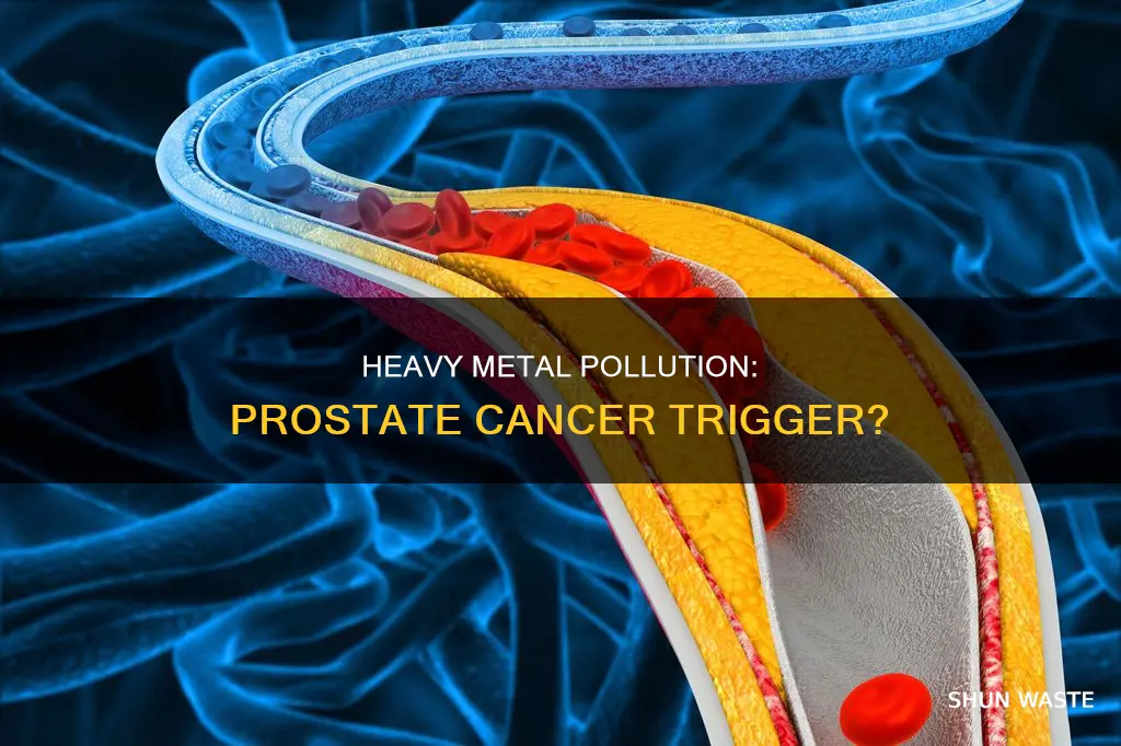 can heavy metals pollution cause prostate cancer