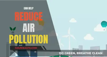 Green Solutions: Reducing Air Pollution