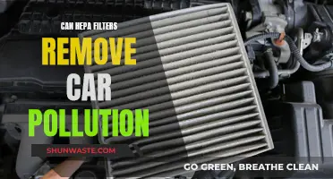 HEPA Filters: Solution to Car Pollution?