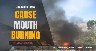 Air Pollution's Harmful Impact: Mouth Burning Sensation