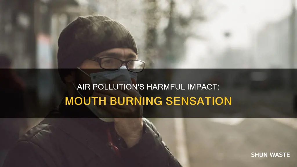 can high pollution cause mouth burning