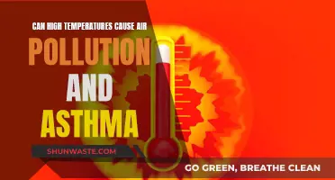 Hot Weather's Impact: Air Pollution and Asthma Emergencies