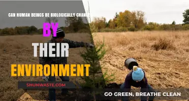 How Environment Shapes Biology: Unraveling Human Adaptation and Transformation