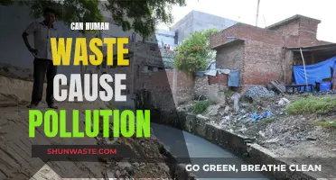 Human Waste: A Surprising Source of Pollution?