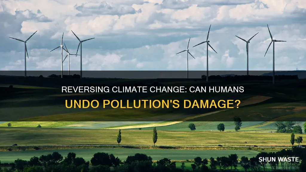 can humans reverse climate change caused by pollution