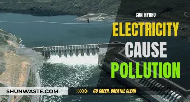 Hydroelectric Power: Pollution Paradox?