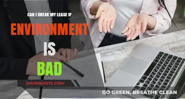 Breaking Your Lease Due to Poor Living Conditions: What You Need to Know