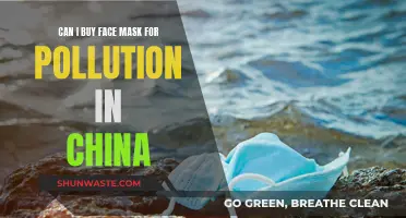 Buying Face Masks in China: Pollution Solution?