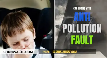 Anti-Pollution Fault: Can You Still Drive Your Car?