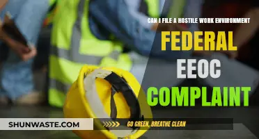 Filing a Federal EEOC Complaint for Hostile Work Environment: What You Need to Know