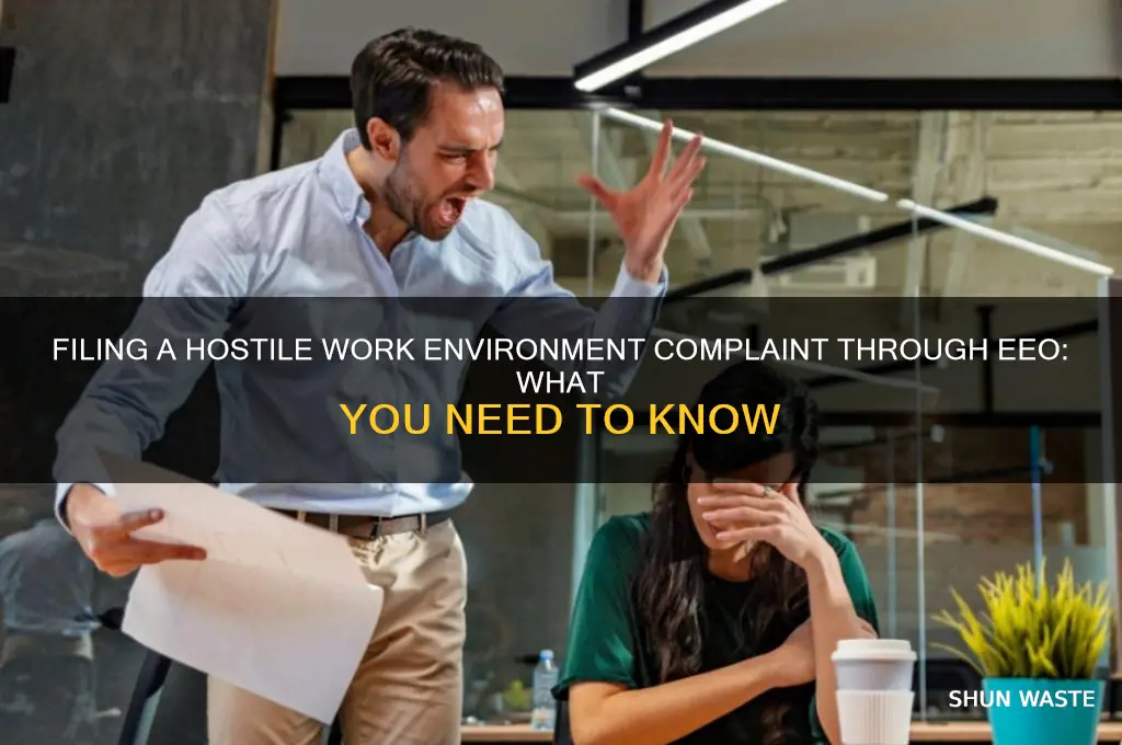 can i file hostile work environment through eeo