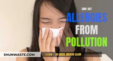 Air Pollution: A Trigger for Allergies?