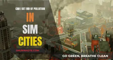 Sim Cities: Pollution Control Strategies Explored