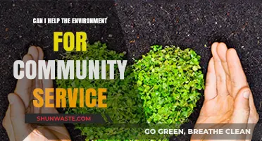 Eco-Friendly Community Service: Simple Ways to Help the Environment Locally