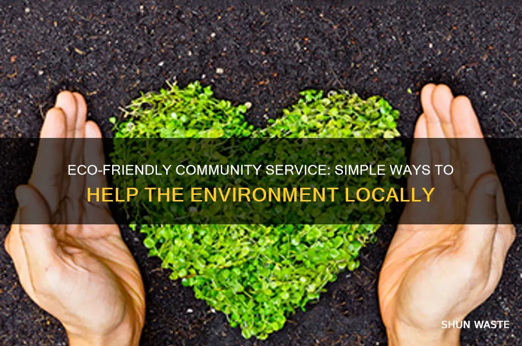 can i help the environment for community service