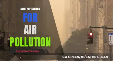 Suing Canada for Air Pollution: Is It Possible?