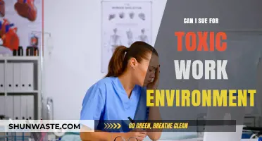 Can You Sue for a Toxic Work Environment? Legal Insights