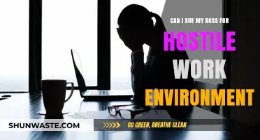 Can You Sue Your Boss for a Hostile Work Environment?