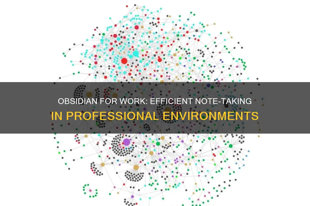 can i use obsidian for take notes in working environment