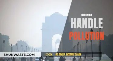 India's Pollution Problem: Can the Country Handle It?