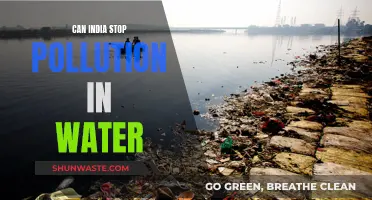 India's Water Pollution: Can It Be Stopped?