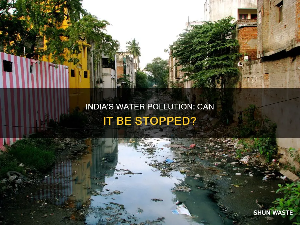 can india stop pollution in water