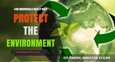 Empowering Individuals: Real Actions for Environmental Protection and Change