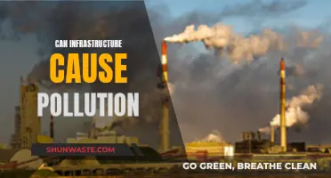 How Infrastructure Impacts Pollution: A Complex Relationship